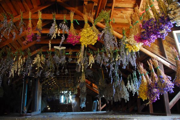 Flowers In The Attic 